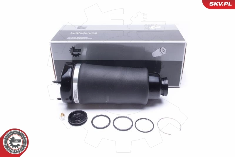 Air Suspension Strut